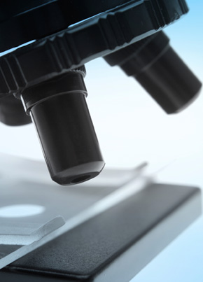 Research and Development Research and Development